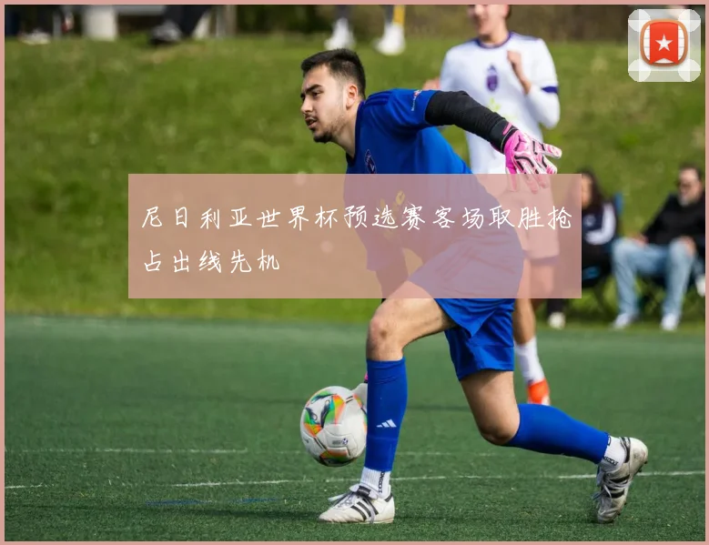 尼日利亚世界杯预选赛客场取胜抢占出线先机