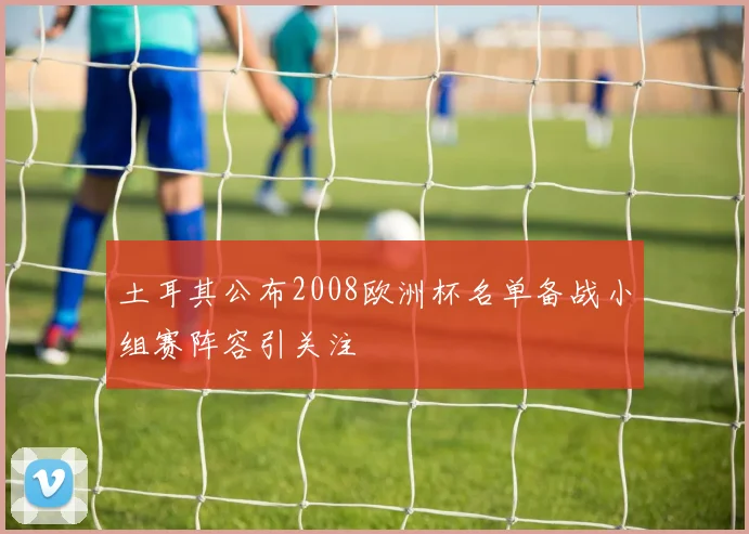 土耳其公布2008欧洲杯名单备战小组赛阵容引关注