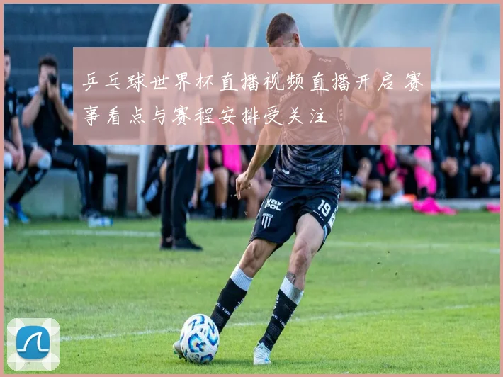 乒乓球世界杯直播视频直播开启 赛事看点与赛程安排受关注