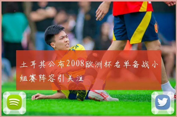 土耳其公布2008欧洲杯名单备战小组赛阵容引关注