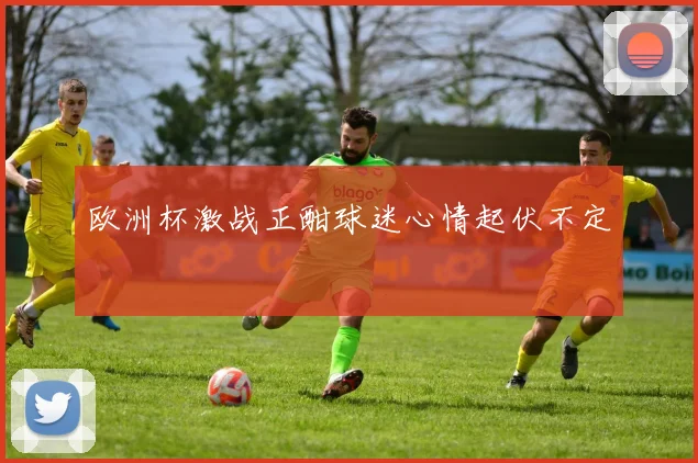 欧洲杯激战正酣球迷心情起伏不定