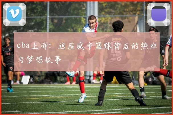 cba上海：这座城市篮球背后的热血与梦想故事