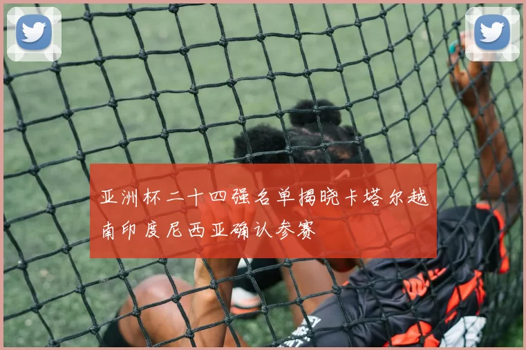 亚洲杯二十四强名单揭晓卡塔尔越南印度尼西亚确认参赛
